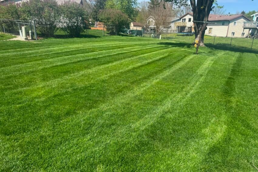 Lawn & Garden Care
