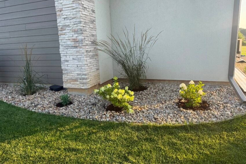 Planting & Removal