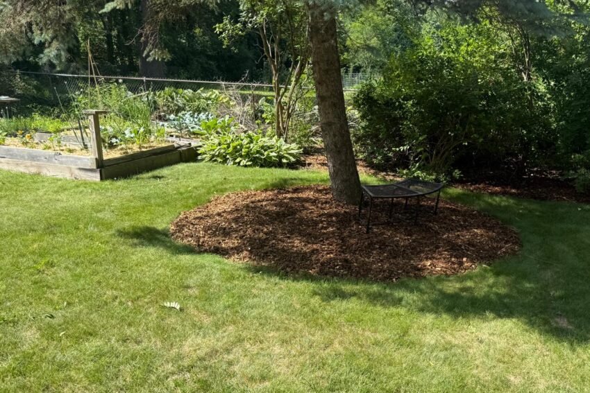 Mulch Installation