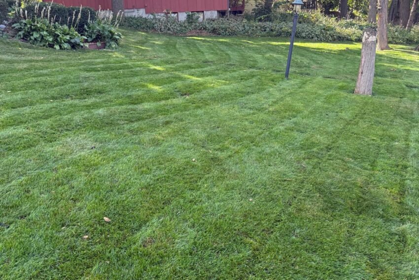 Spring & Fall Cleanup