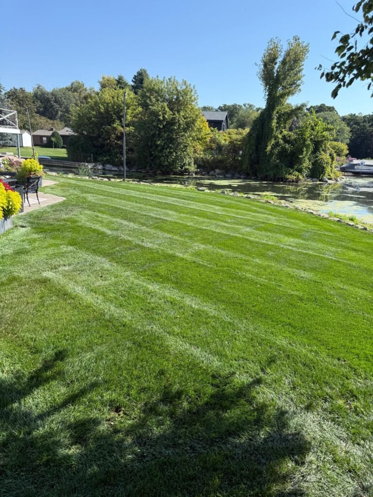 Lawn care