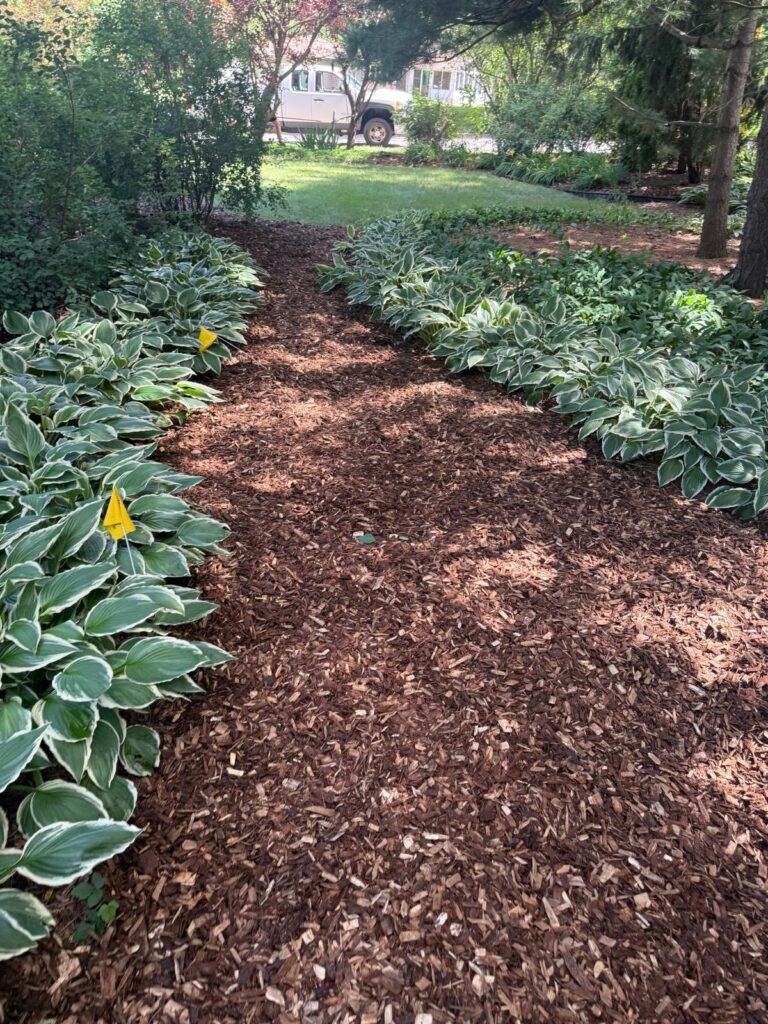 Mulch Install